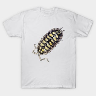 Porcellio haasi Isopod T-Shirt